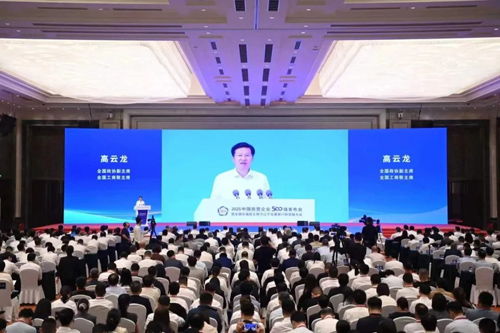 榮登中國民營企業(yè)500強！
